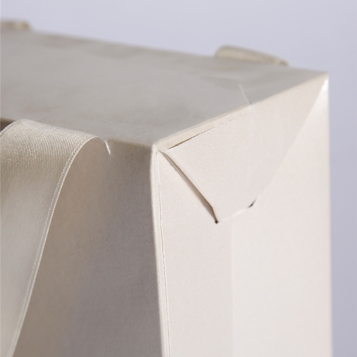 Luxury paper bags -  MGS0066