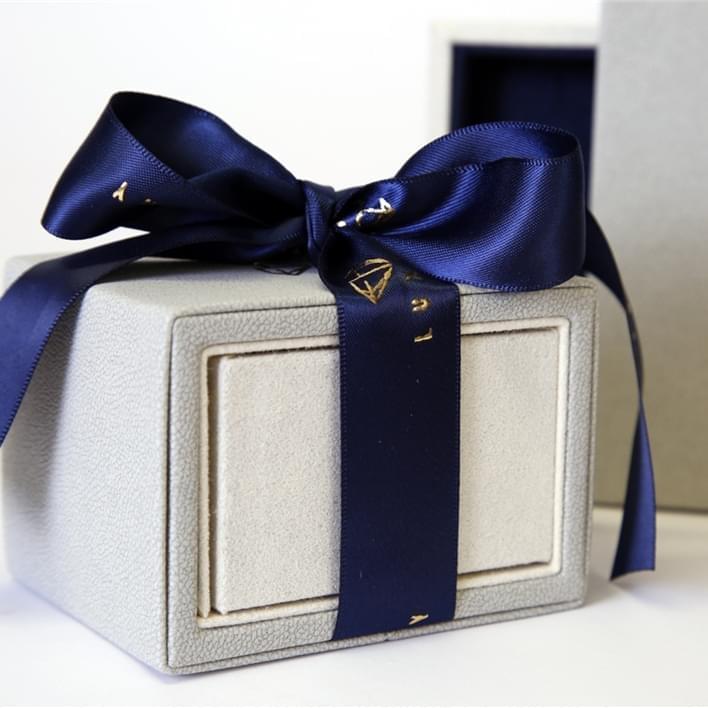 aria jewelry case