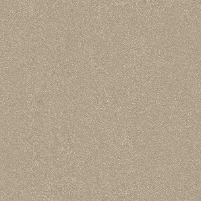 Nappan LIN 6783