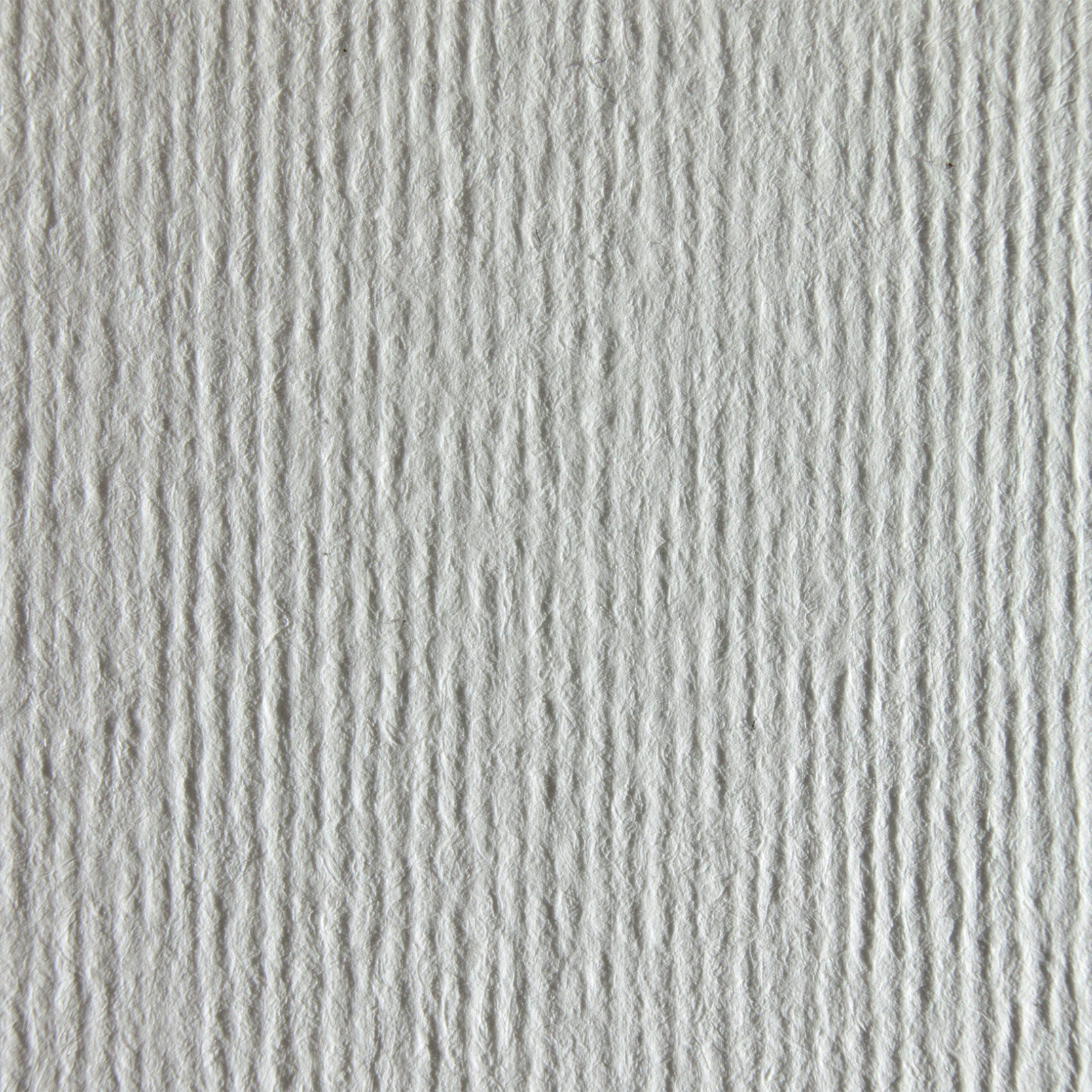 Nettuno BIANCO ARTICO 039
