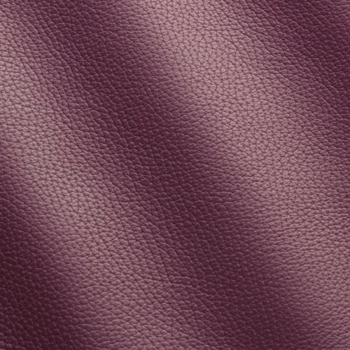 Pelle WORT I622099